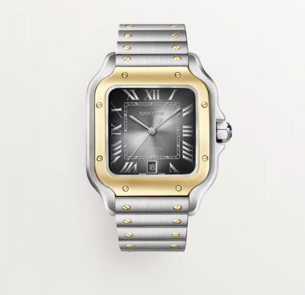 Cartier Santos