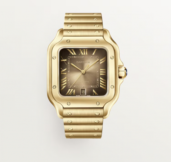 Cartier Santos